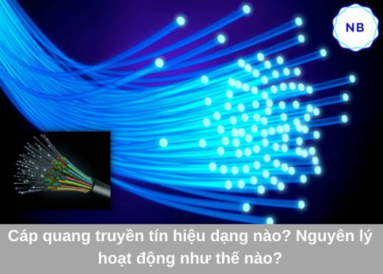 Fibre Optic Cable là gì? Những đặc điểm đáng chú ý của cáp quang