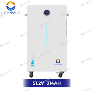 Pin Lưu Trữ Lithium LVTOPSUN 16.07Kwh 51.2V 314Ah | LVTS512314-G4